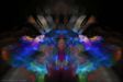 graphix/_010102_1b_21_13.jpg
