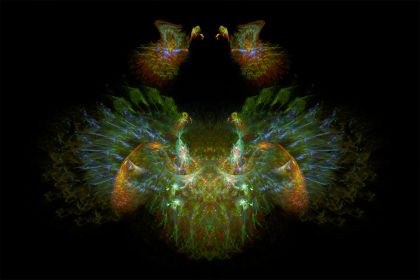 NewImage