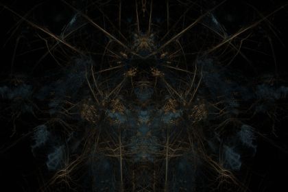 NewImage