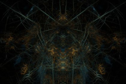 NewImage