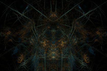 NewImage