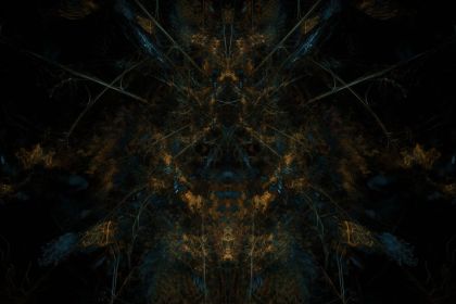 NewImage