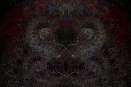 NewImage