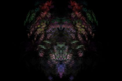 NewImage