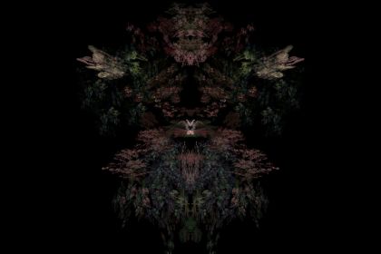 NewImage