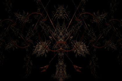 NewImage