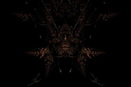 NewImage