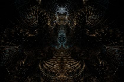 NewImage