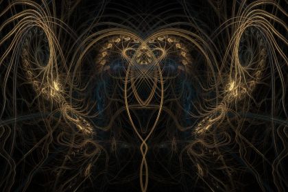 NewImage