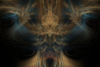 NewImage