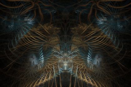 NewImage
