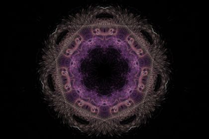 NewImage
