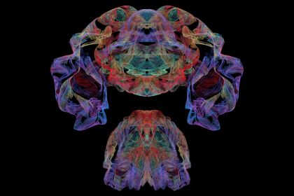 NewImage