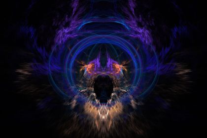 NewImage