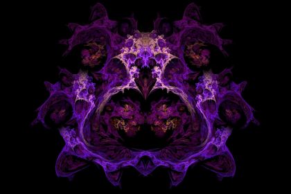 NewImage