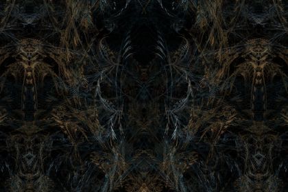 NewImage