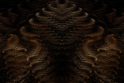 NewImage