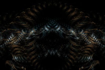 NewImage