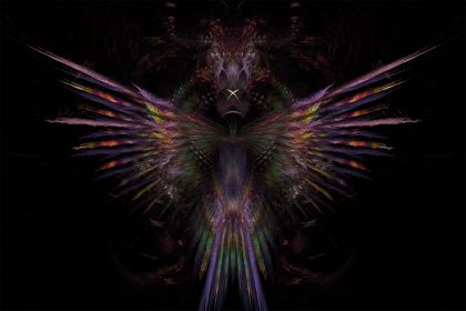 NewImage