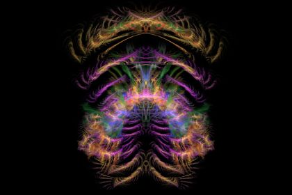 NewImage