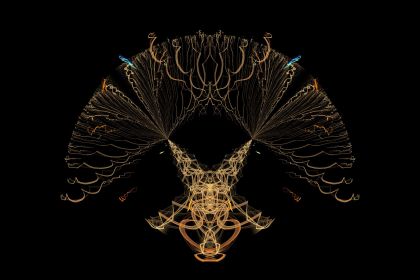 NewImage