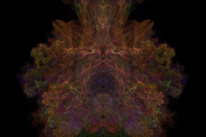 NewImage