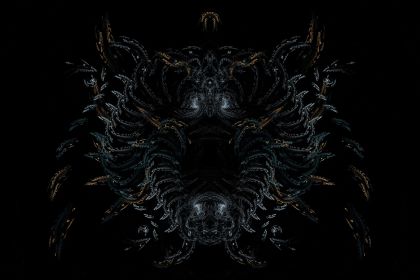 NewImage