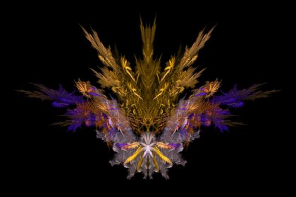 NewImage