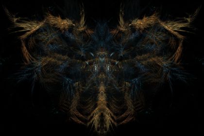 NewImage