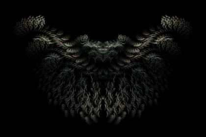 NewImage