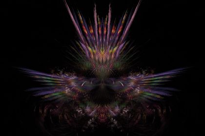 NewImage