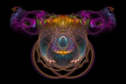 NewImage