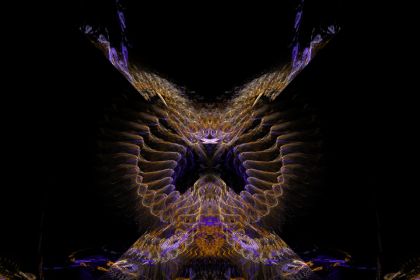 NewImage