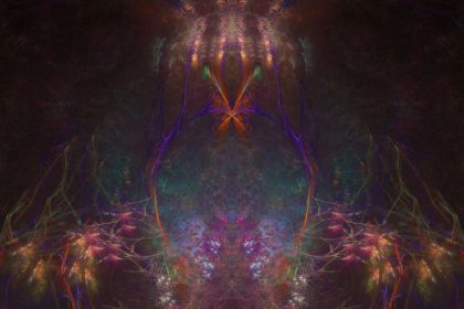 NewImage