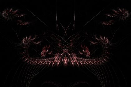 NewImage