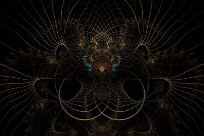NewImage